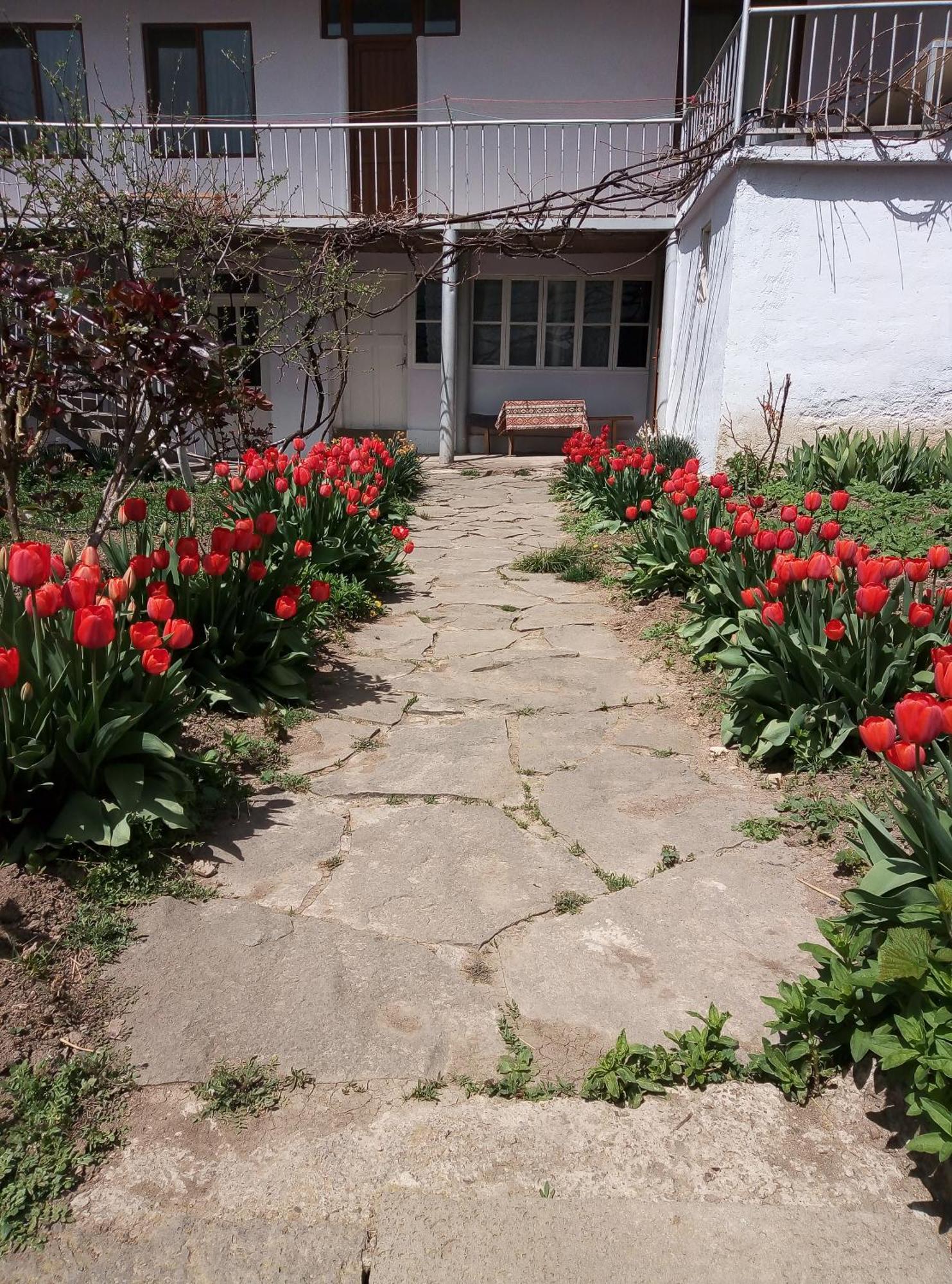 Aspet B&B Tat'ev Bagian luar foto