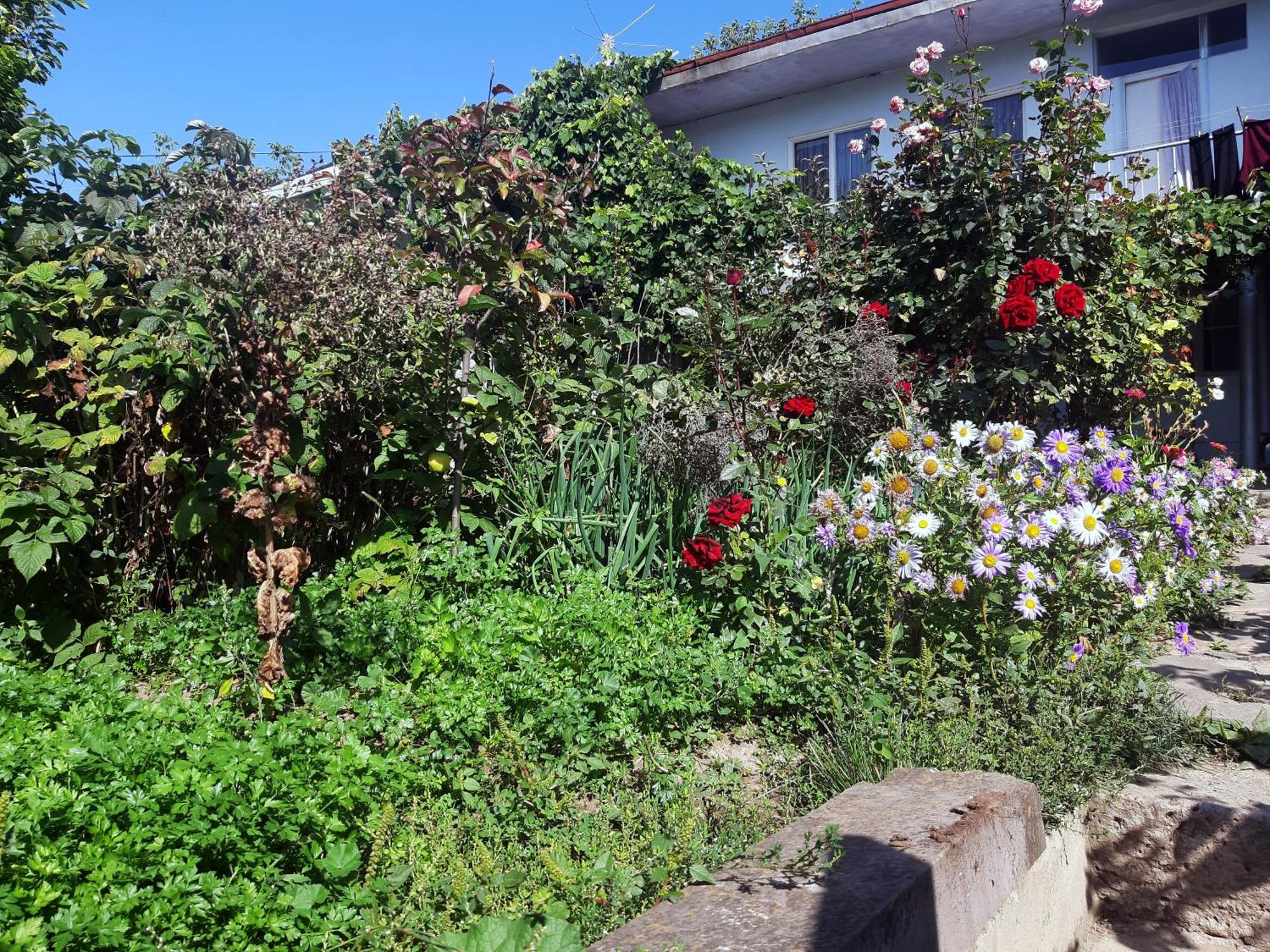 Aspet B&B Tat'ev Bagian luar foto